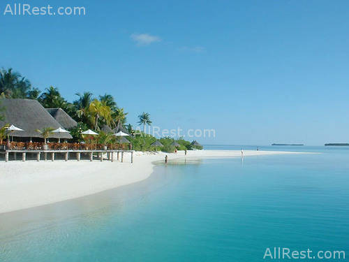 Vilu Reef Beach & SPA Resort 3